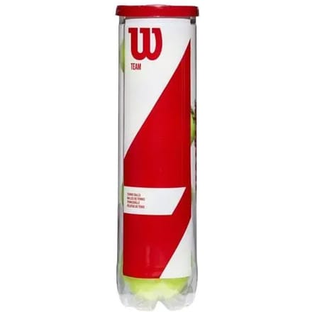Tube met 4 tennisballen Wilson Team Practice