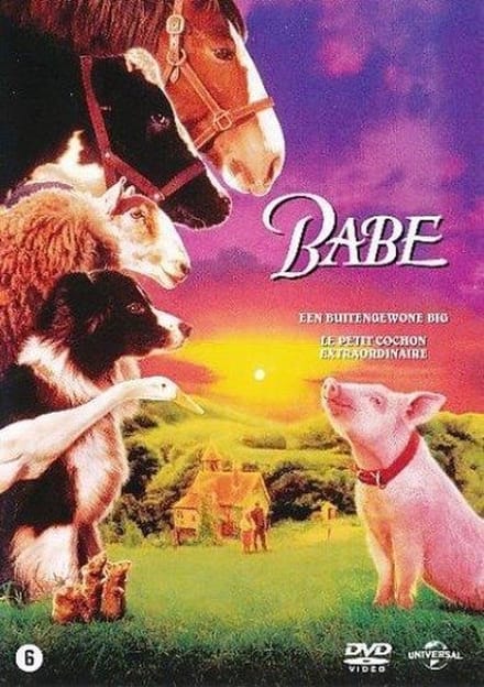 Babe (DVD)