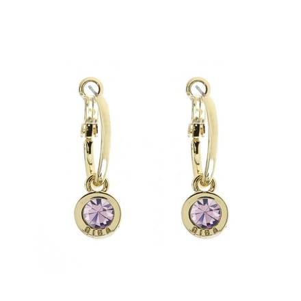 Biba Oorhangers Goud met gekleurde steen Groot Lt. Amethyst
