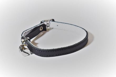 Kattenhalsbandje- leer- zwart-Animal King