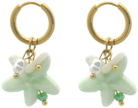 Dames Oorbellen – Zeester Design – RVS – Elegant & Stijlvol – 3x1.5cm