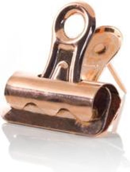Pushpin Clips - 12 stuks - Rosé