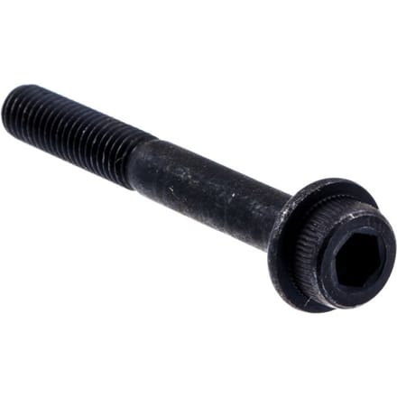 Screw
