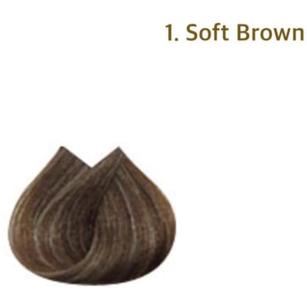 Richenna Easy Speedy Gold Haarkleuring [Shampoo Type Dye] 1ea (Tube/Eén 40g + Tweede 40g)- 2 Kleuren #1.Soft Brown brown
