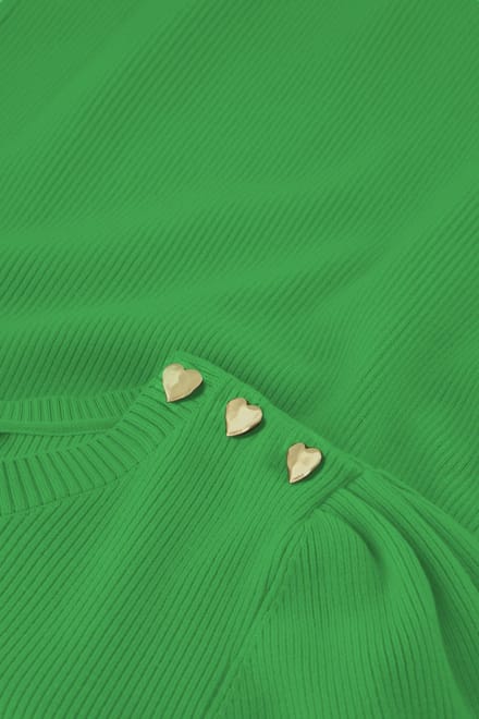 Fabienne Chapot Lillian Short Sleeve Pullover Green Apple Maat: S | Longsleeves Outlet | Dames | Groen