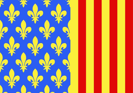 Vlag Lozère 150x225cm