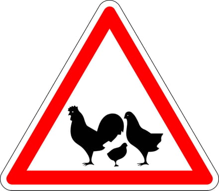 Pas op voor kippen sticker 100 mm