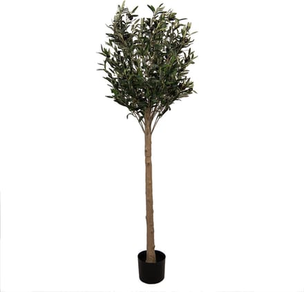 Clayre & Eef Kunst Olijfboom 165 cm Groen Kunststof