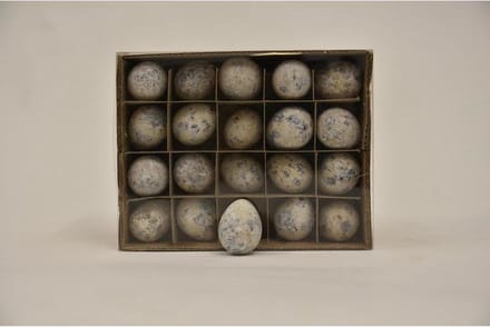 Decoratie Eieren - Doos Kwarteleieren Wit - 60 Stuks