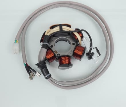allumage stator rms voor scooter gilera 50 typhoon 2000 c1900 nieuw