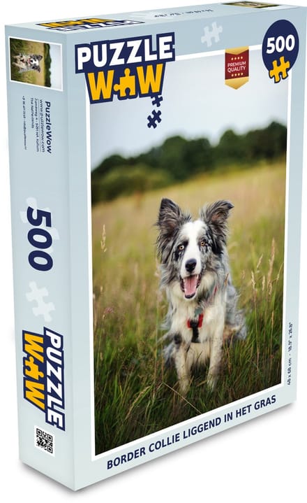 Puzzel Border collie liggend in het gras - Legpuzzel - Puzzel 500 stukjes