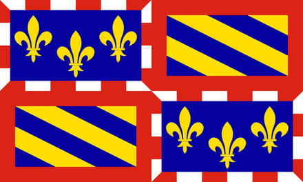 Vlag Bourgondië 200x300cm
