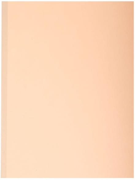 Exacompta 25x FOREVER® 320 g/m2 - Pak van 10 dossiermappen met linnen rug - A4 - Geassorteerd - 771000E