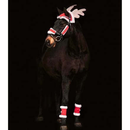 Kerstset Voor Paarden - Bijna Uitverkocht!