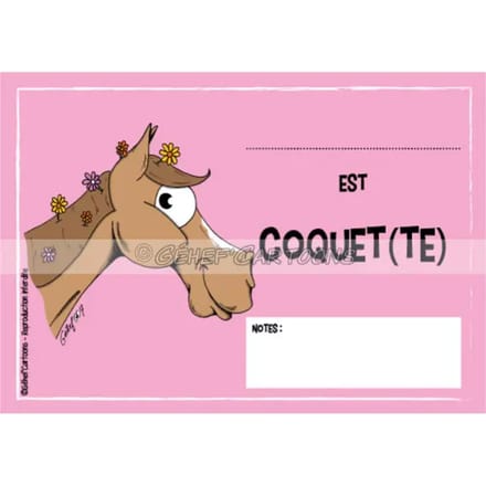 Humoristische plaquette Fr8Man
