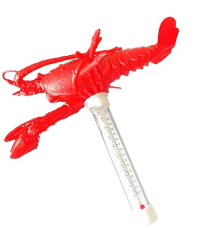 Zwembad thermometer - Warmtesensor monitor - Water temperatuur meten - Creatief ontwerp - 22 Centimeter - Kreeft