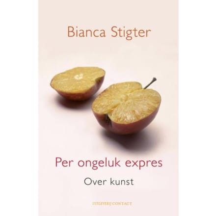 Per Ongeluk Expres - Bianca Stigter
