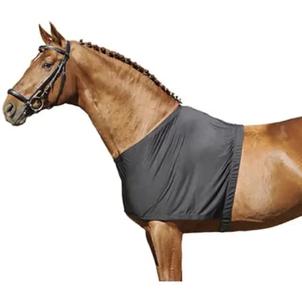 Borstbeschermer voor paarden HKM