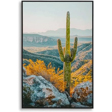 Muurdecoratie afdruk op ster met cactusframe B Mauro Ferretti Laccata