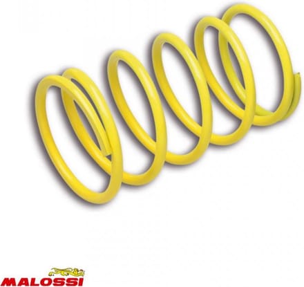 Ressort d embrayage Malossi pour Scooter Aprilia 300 Leonardo Neuf