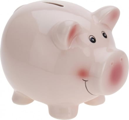 Free & Easy Spaarvarken - roze - dolomiet - 11 x 9 cm - spaarpot - sparen - cadeau