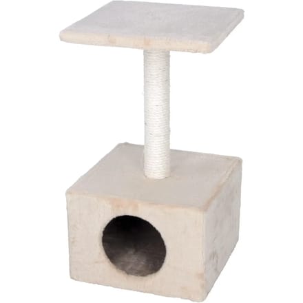 Kattenboom Kerbl Amethyst