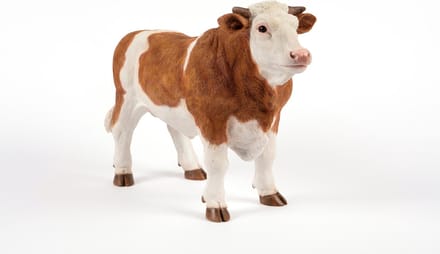 staande bruine stier