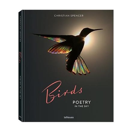 Birds - Spencer, Christian