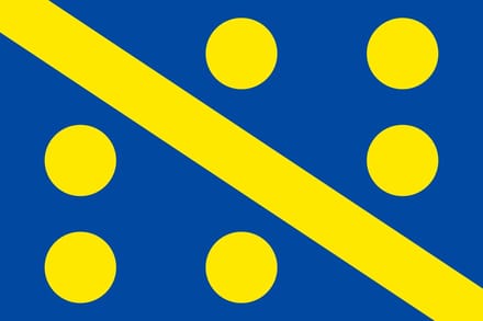 Vlag Assesse 100x150cm