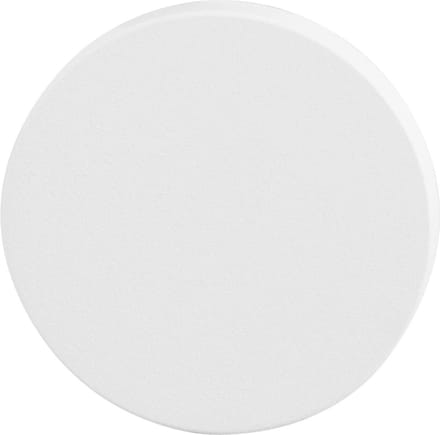 Blinde rozet - Wit - RVS - GPF -