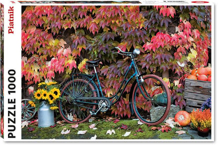 Puzzle 1000 Jesienne Impresje 5582 - Puzzel 1000 Herfstimpressionen 5582