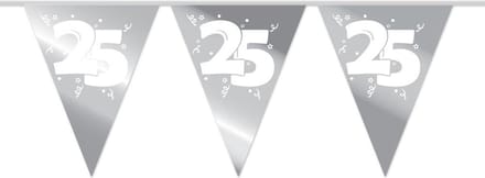 Slingers 25 Zilver 10m