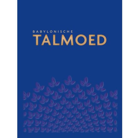 Babylonische Talmoed Sanhedrien 1 En 2 - Jacob de Leeuwe