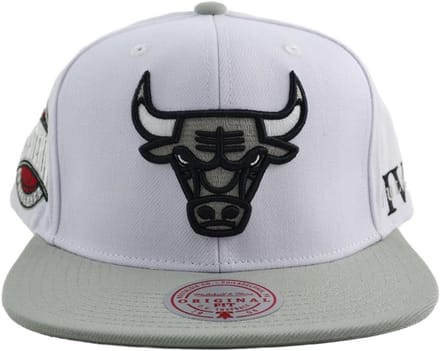 NBA Chicago Bulls Snapback Cap Core IV Wit Grijs Maat One Size