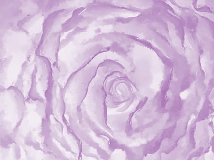 Fotobehang - roos (rosa).