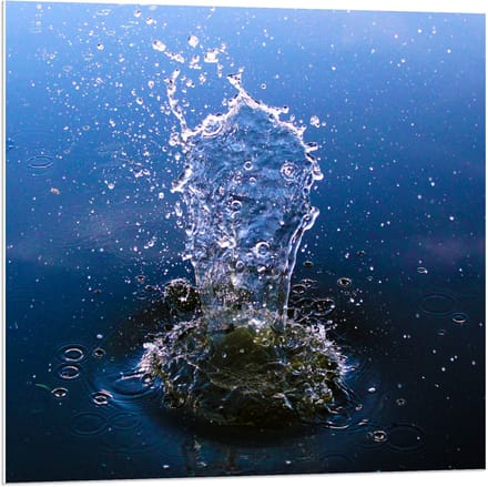 Forex - Steen plonzend in Water - 80x80cm Foto op Forex