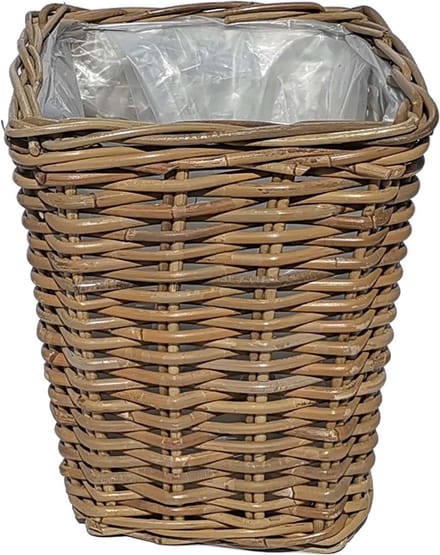 Rotan mand Turijn