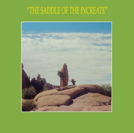 Saddle Of The Increate - Sun Araw