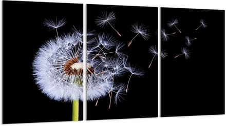 TMK ArtDeko - Snijplank - Beschermpaneel - Glas - 3x30x52 cm