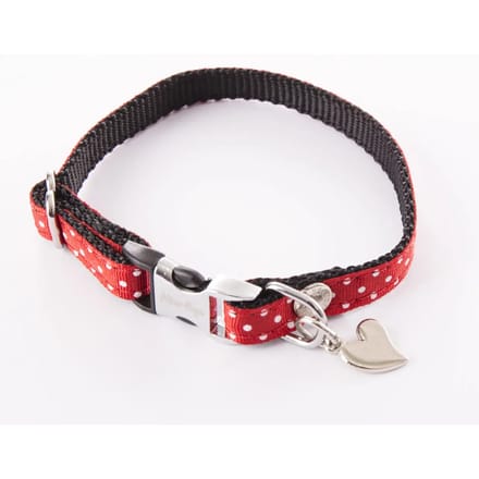 Hondenhalsband met stippen Alter Ego XS