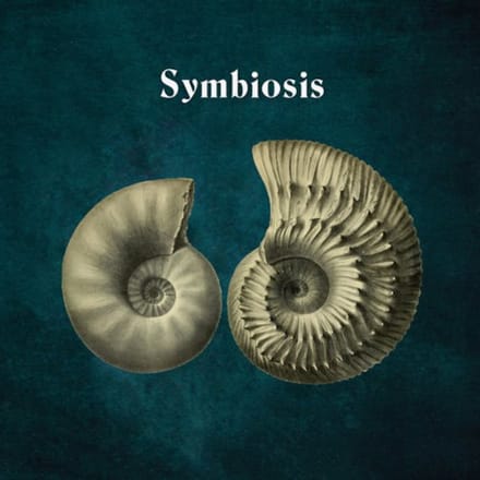 Symbiosis - Hydrogen Sea