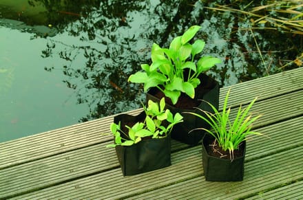Ubbink Care Plant