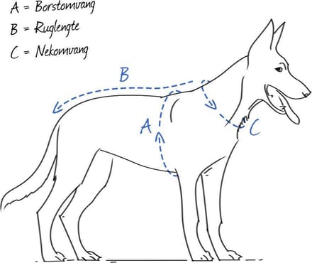 WERELD BEKENDE JULIUS K9 TUIG VOOR GEHANDICAPTE HOND VOORKANT MAAT: L