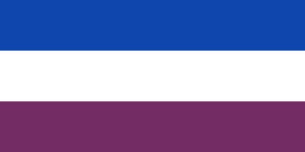 Vlag Montigny-le-Tilleul 120x180cm