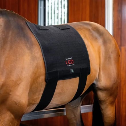 Therapeutisch zadelkleed Horseware