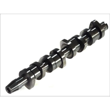Nokkenas  AE CAM904