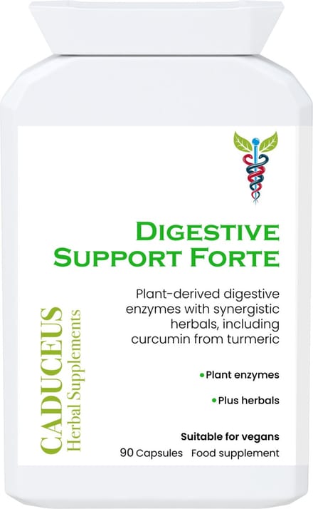 DIGESTIVE Support Forte 90 capsules