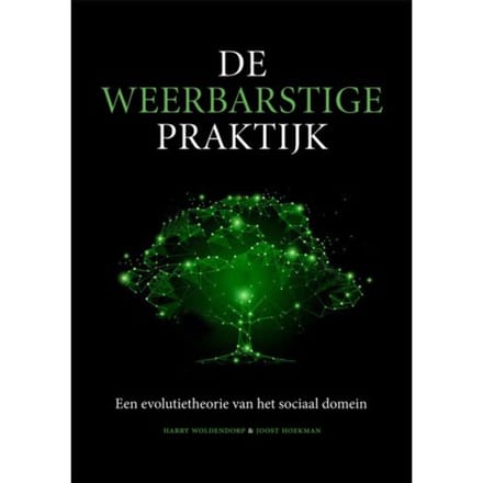 De Weerbarstige Praktijk - Harry Woldendorp