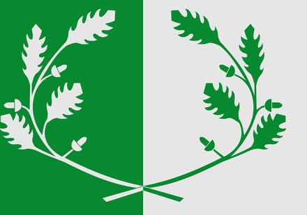 Vlag Eeklo 200x300cm