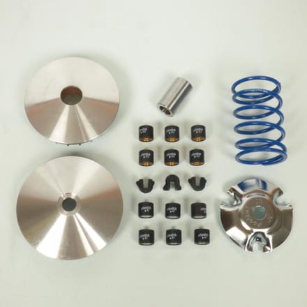 Variateur Polini pour Auto Piaggio Neuf